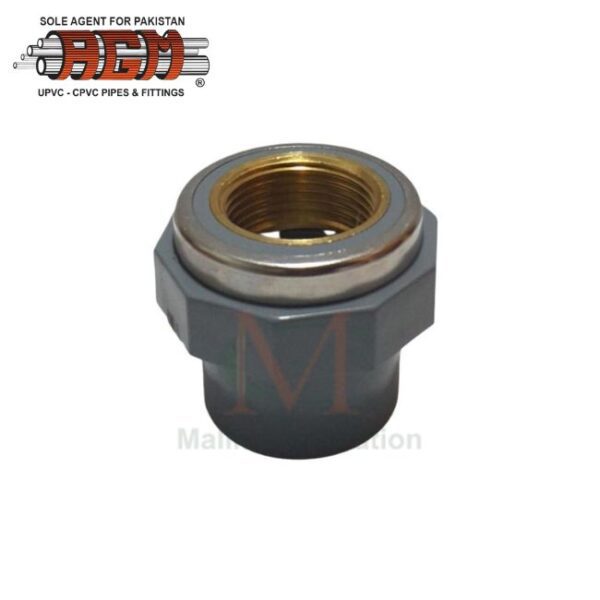 AGM Cpvc Brass Thread Female Valve Socket